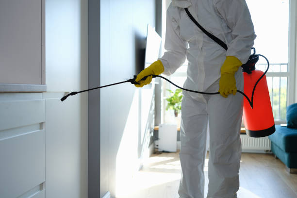 Best Commercial Mold Remediation in Mobridge, SD